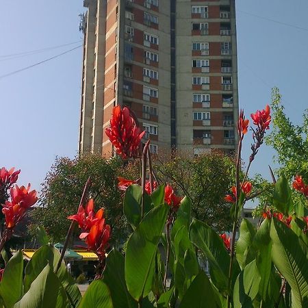 Hotel Konaciste Trstenik Buitenkant foto